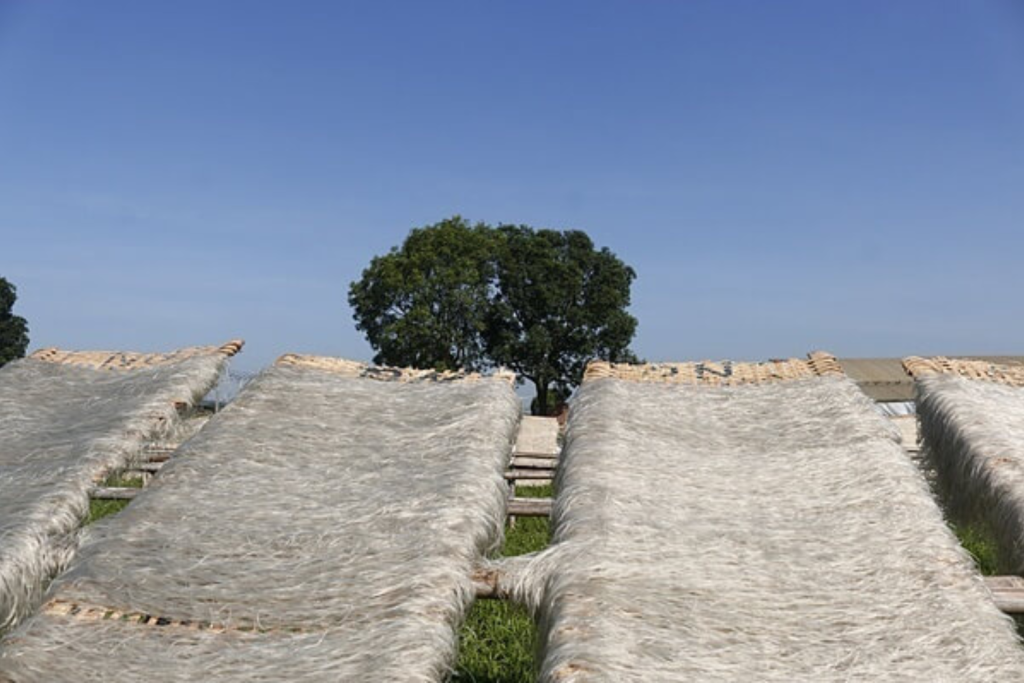 làng miến dong Tân Hoà - du lịch làng nghề hà nội