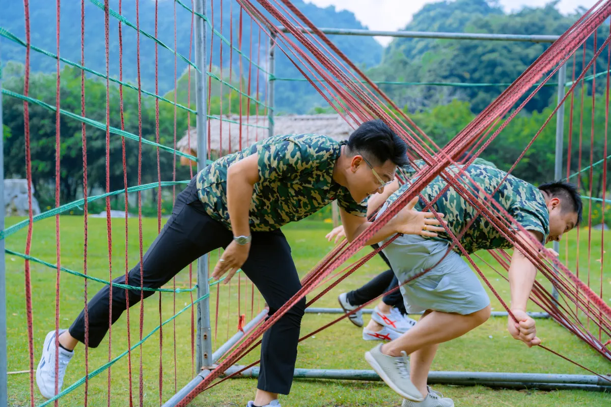 to chuc team building cho cong ty